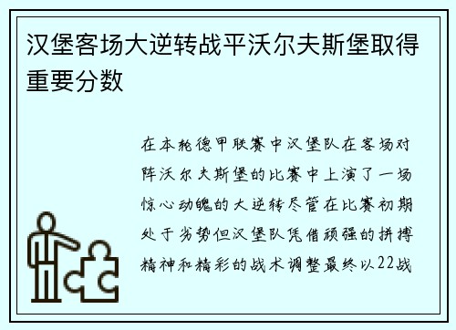 汉堡客场大逆转战平沃尔夫斯堡取得重要分数