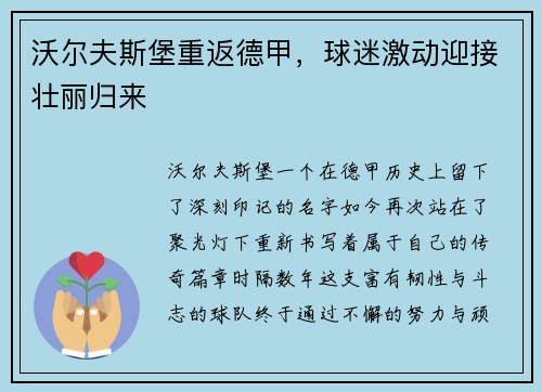 沃尔夫斯堡重返德甲，球迷激动迎接壮丽归来